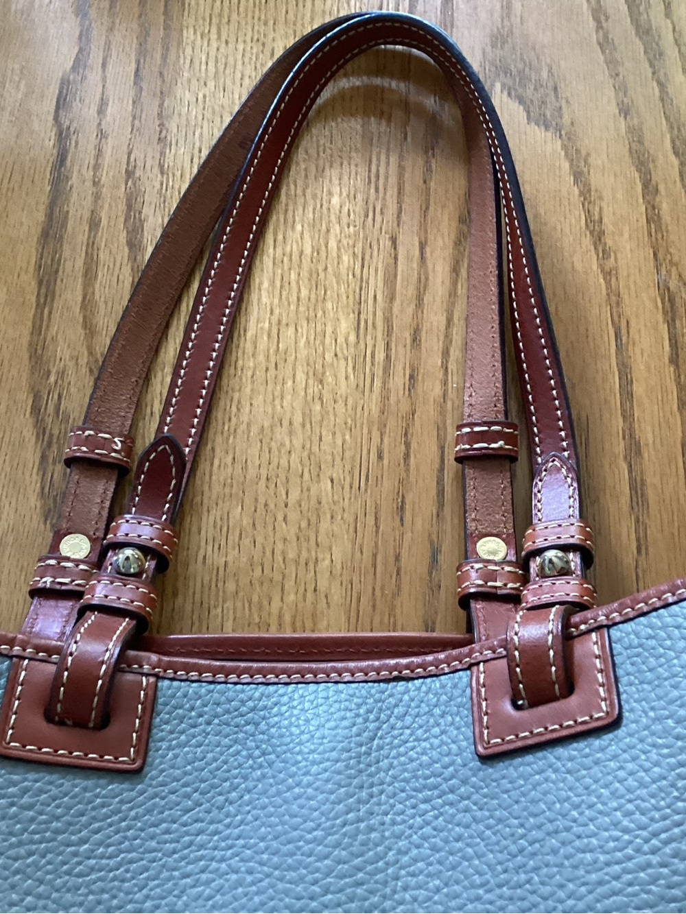 Dooney & Bourke Light green Pebble Leather Tote with Brown Trim - Picture 2 of 9